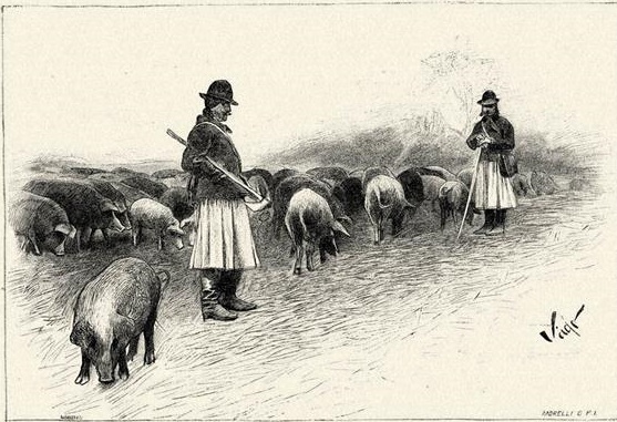 Bőgatyás keszthelyi kanászok (XIX.sz.