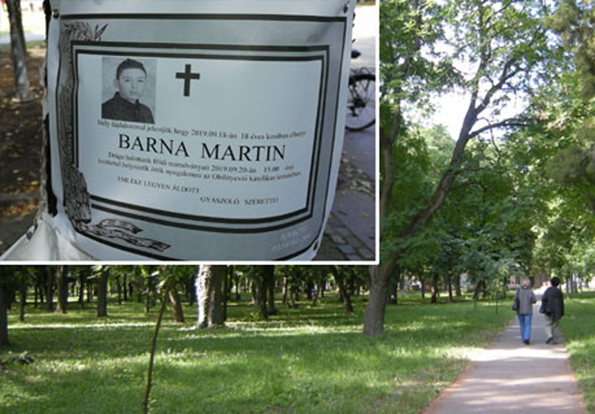 Barna Martin